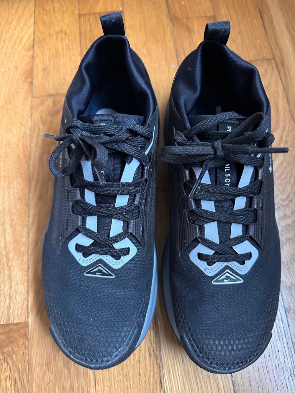 Women’s Nike Pegasus Gortex Trail Running Shoe